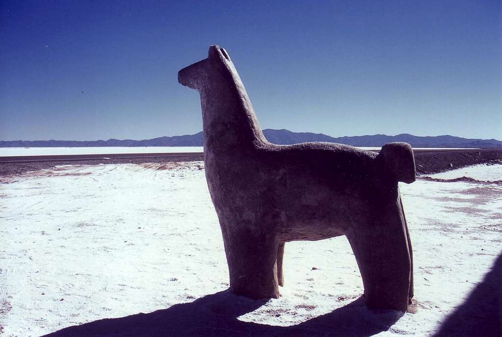 Salt Llama