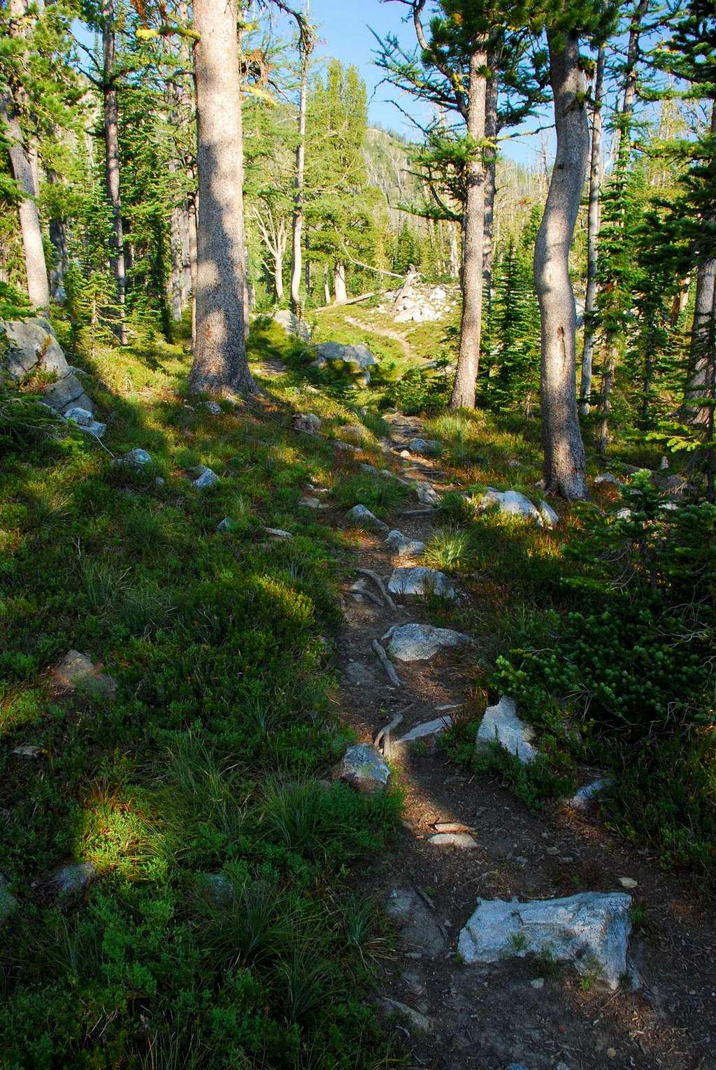 Typical Trail Above Lakes