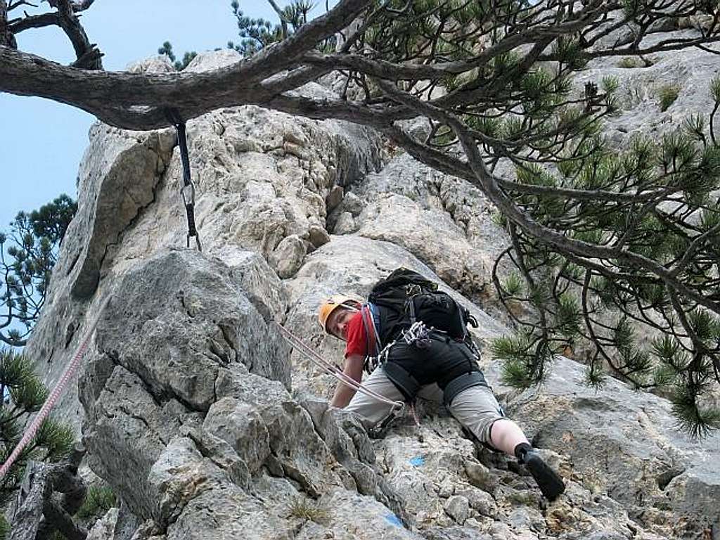 Climbing Fredsteig (Hohe Wand)