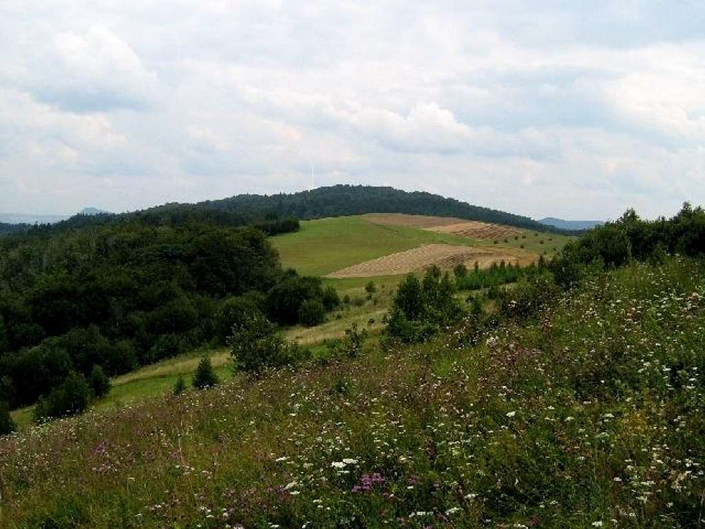 Mount Grzywacka