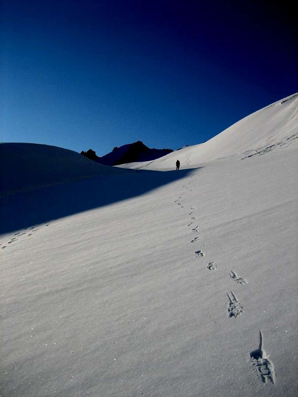foot print on the Glacier du Geant....