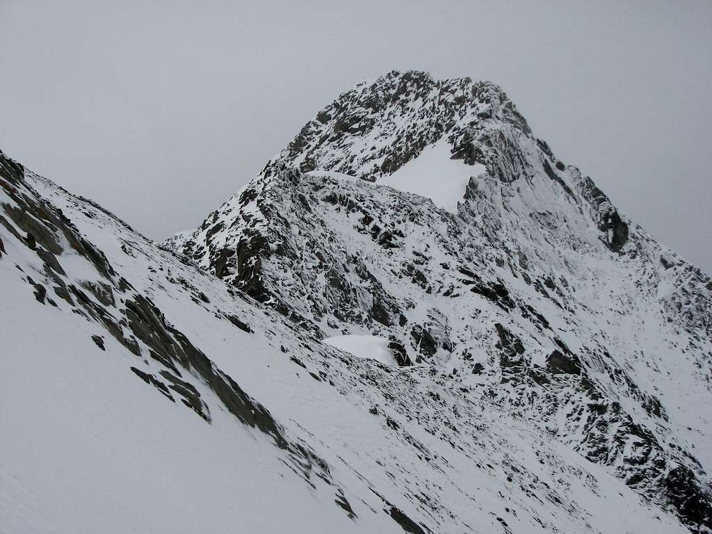 NE ridge of Roetspitze / Pizzo Rosso, 3495m.
