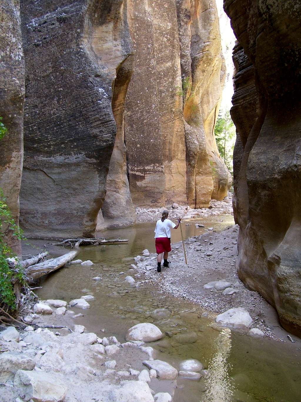 Zion Narrows