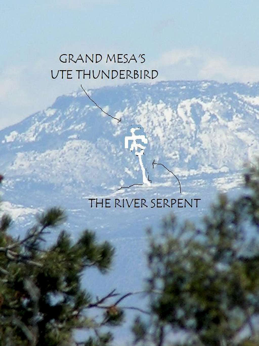 The Grand Mesa Thunderbird in Winter