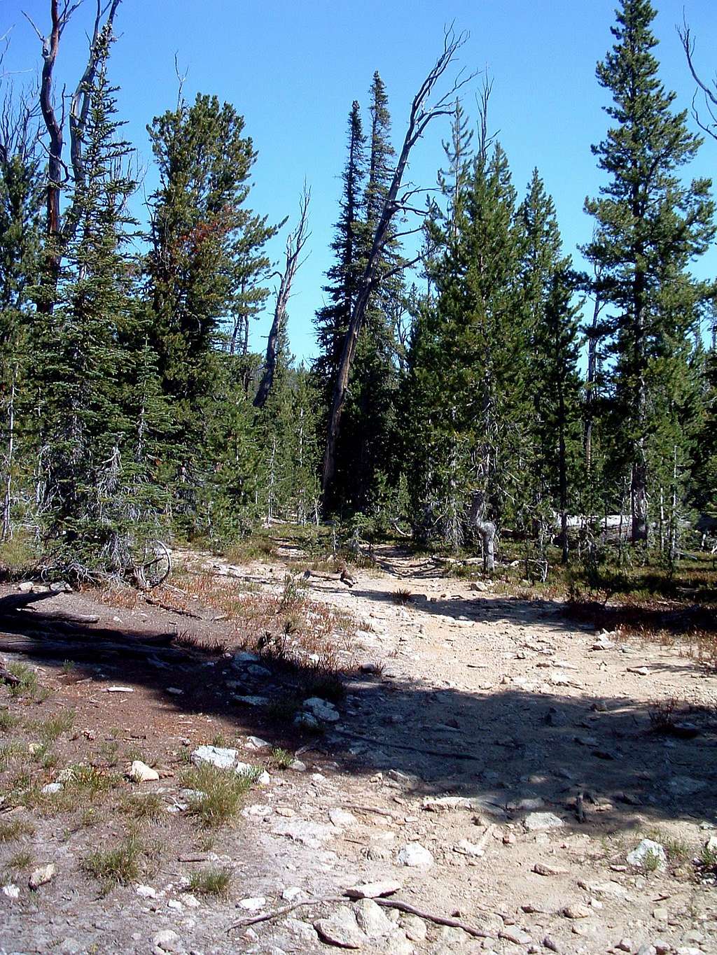 Typical Trapper Peak Trail