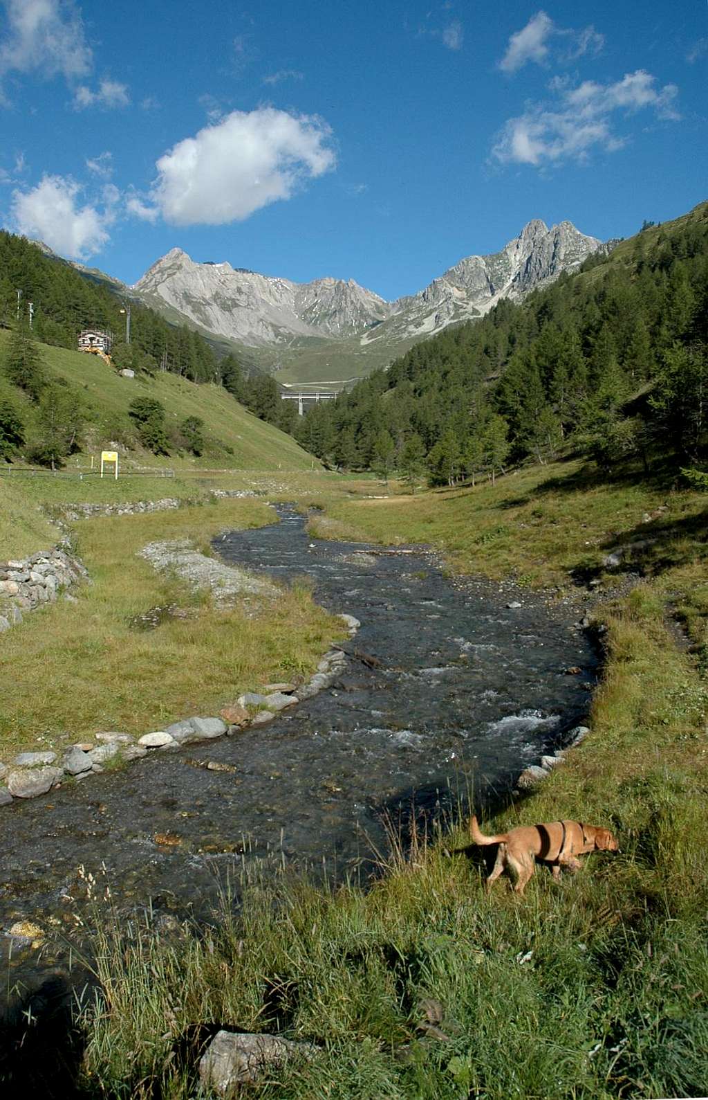 Torrent du Grand Saint Bernard