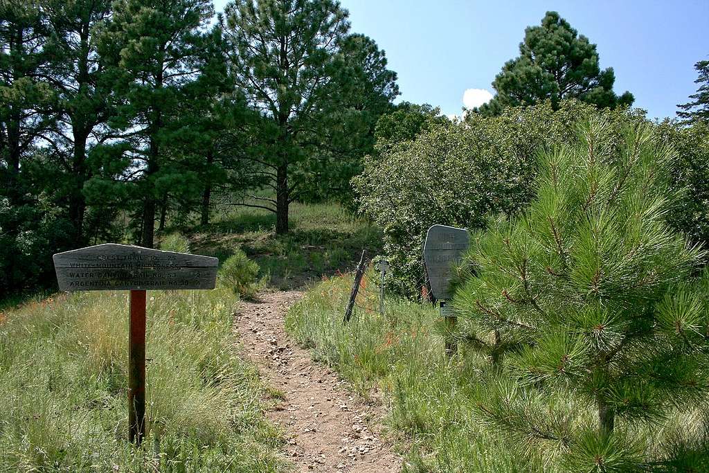 Crest Trail north trailhead