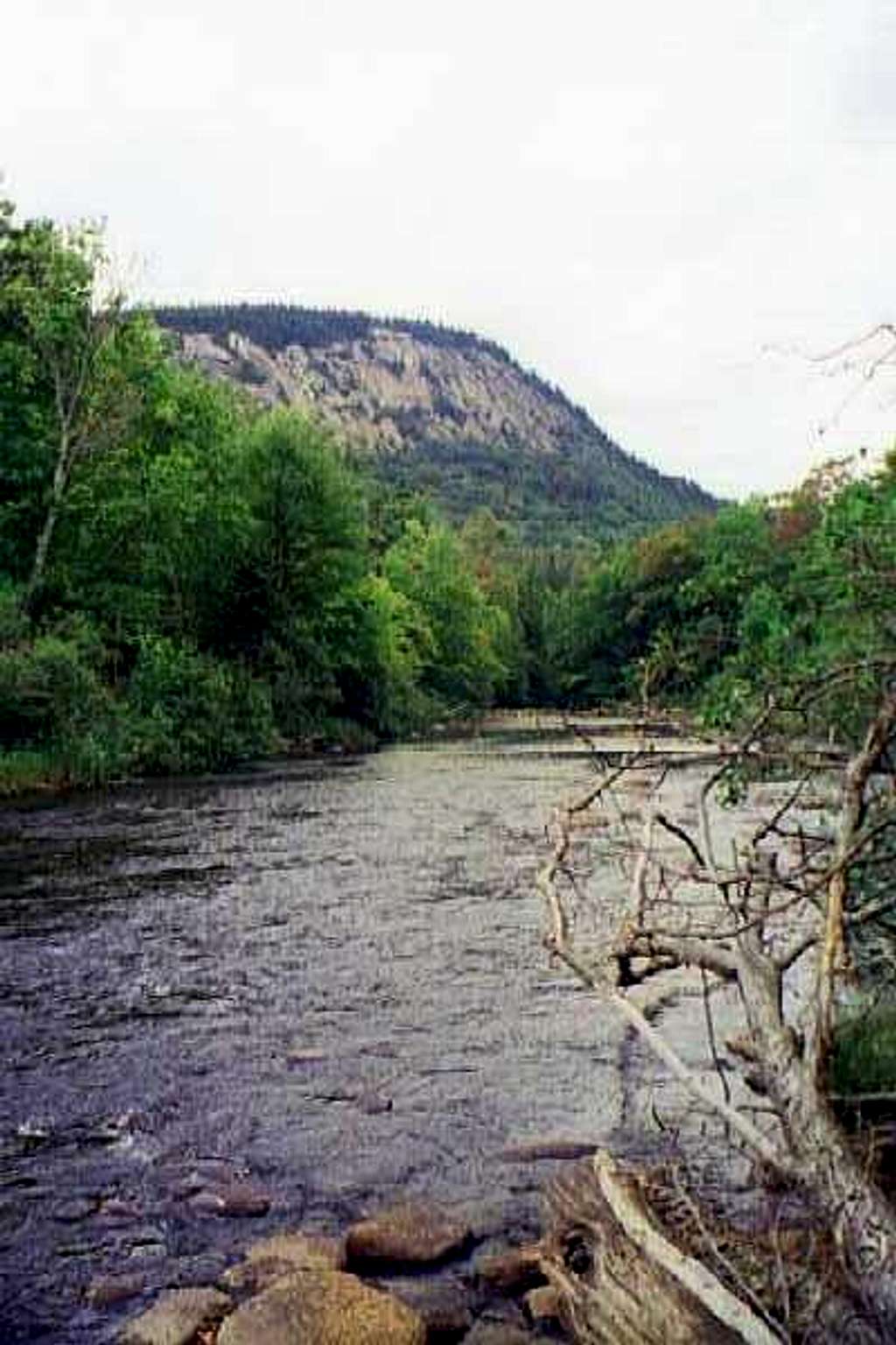 Sugarloaf Mtn. from the Cedar River