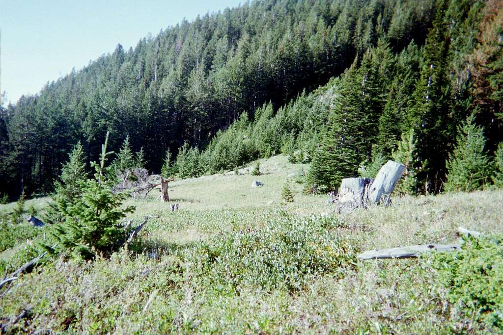 Big Pryor Mountain