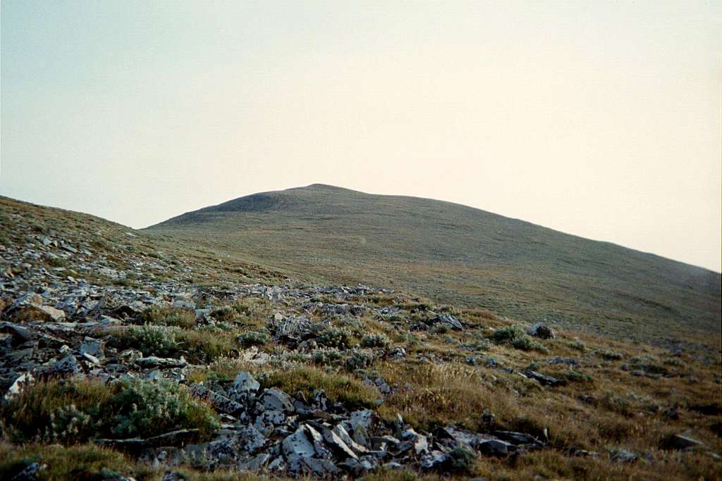 Mount Edith