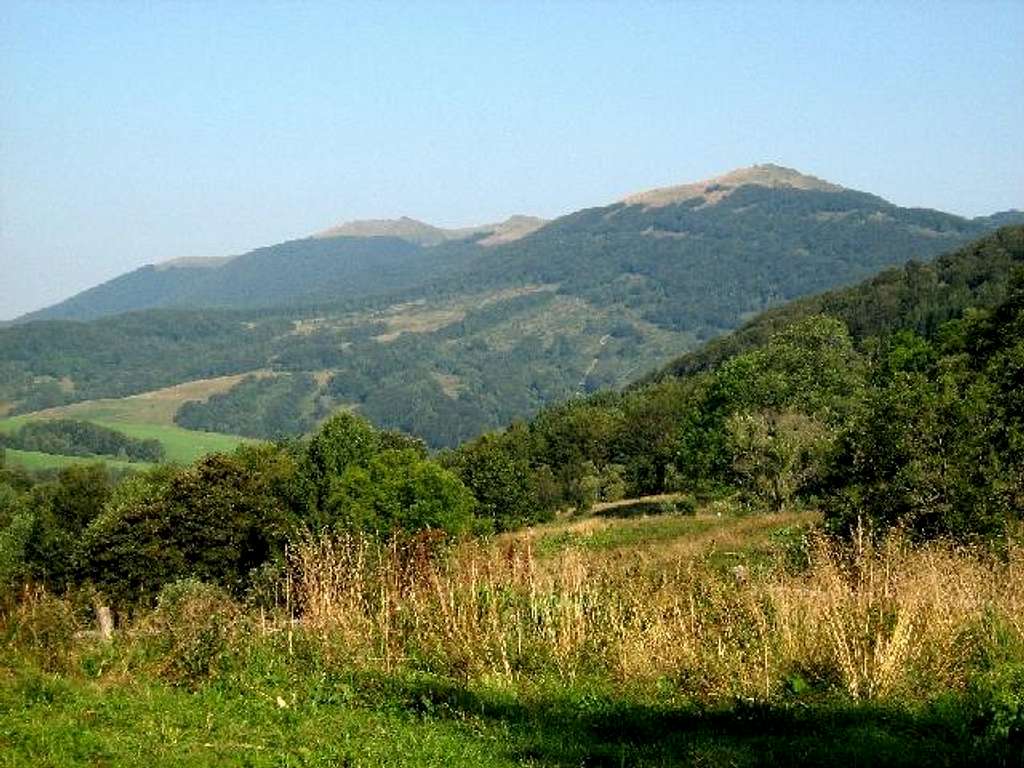 Wetlinska Meadow (1255 m)