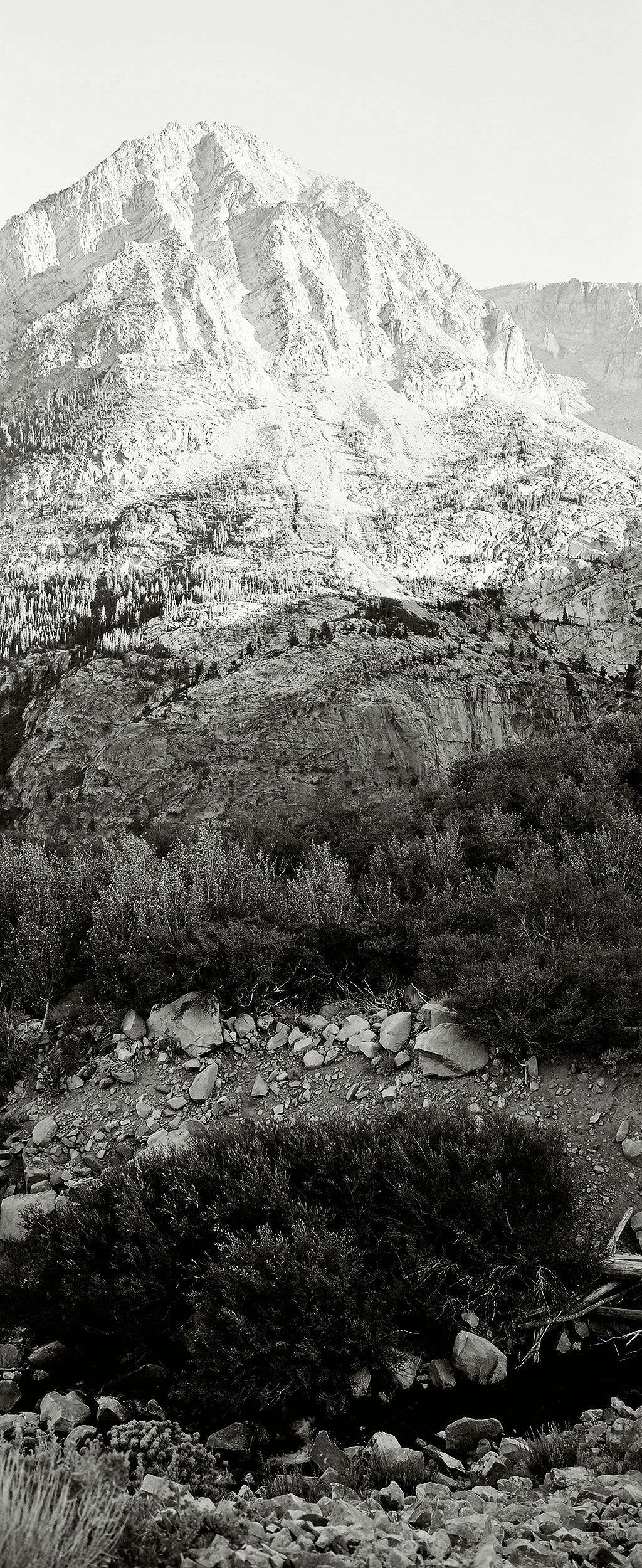 Lee Vining Canyon / Tioga Pass