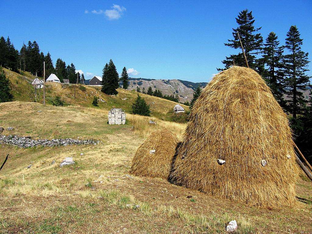 Podmilogora  village