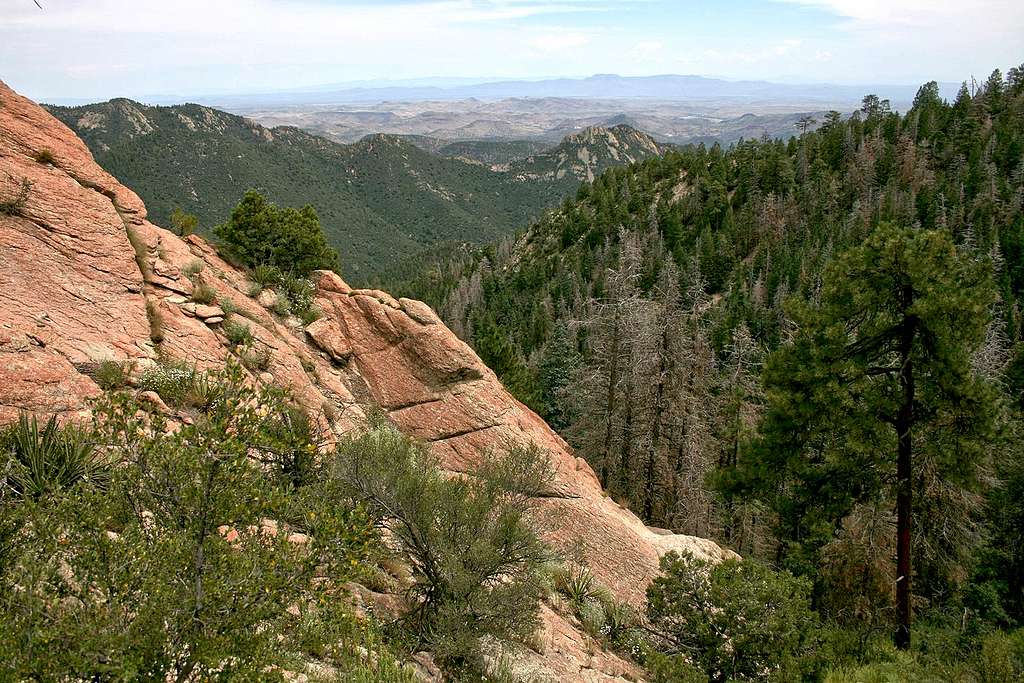 Black Range Crest Trail