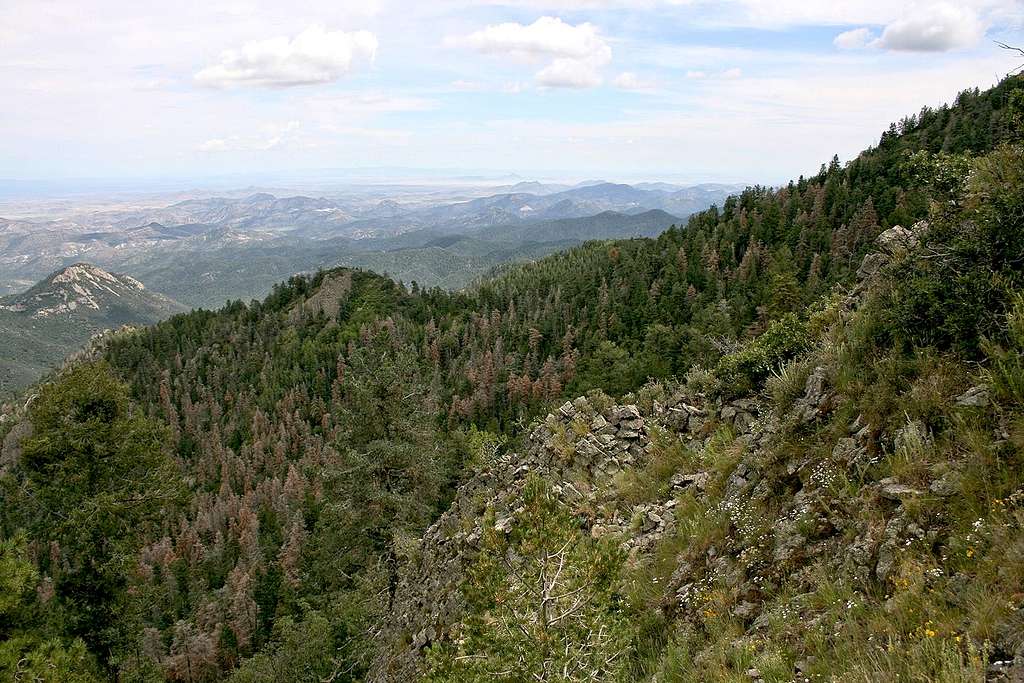 View from Cross-O Mountain