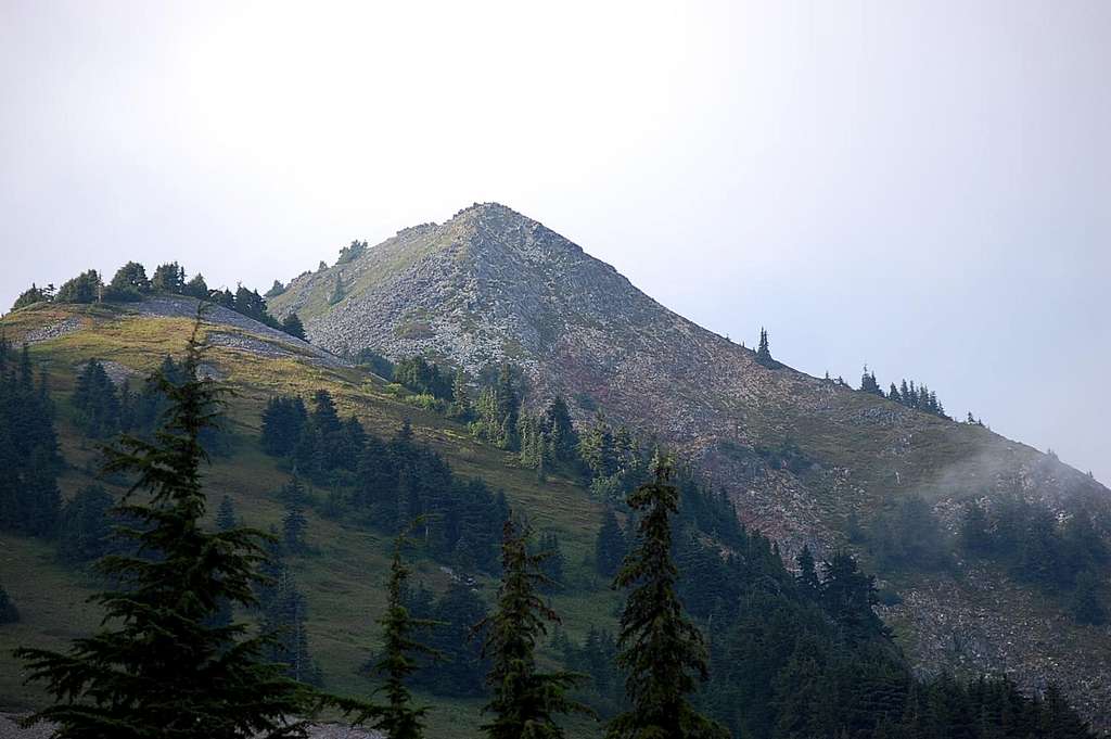 Looking towards the summit of Silver Peak from the south