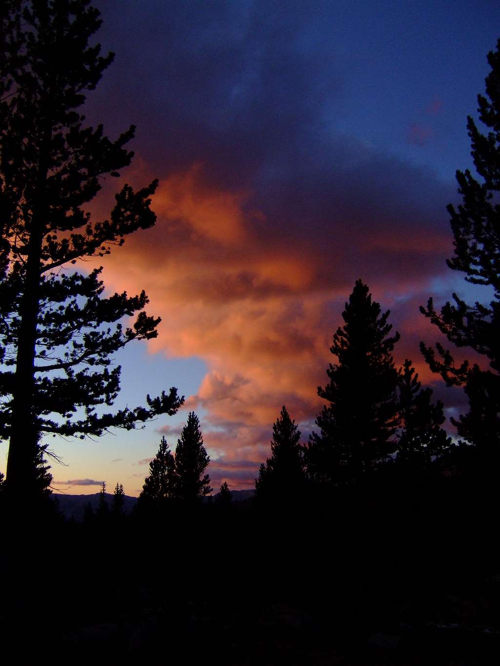 young lakes area, Yosemite