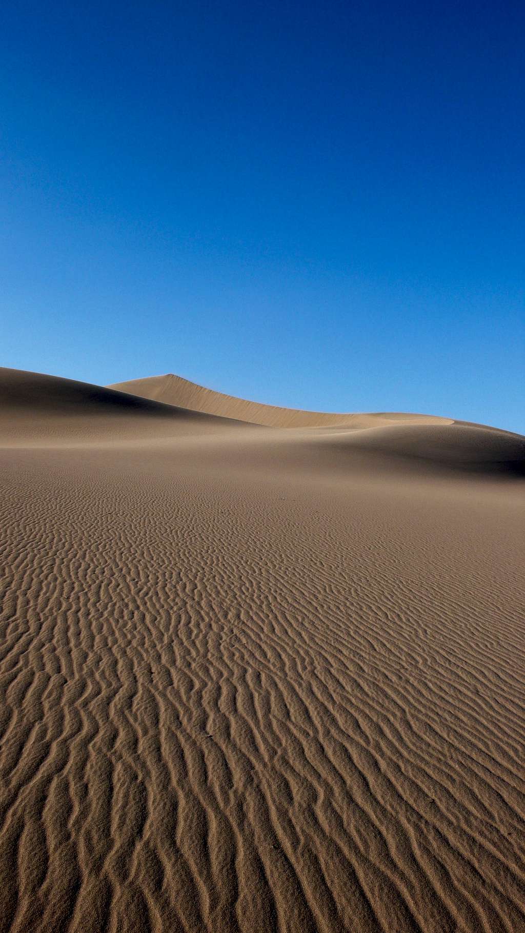 Death Valley...Sand Dunes