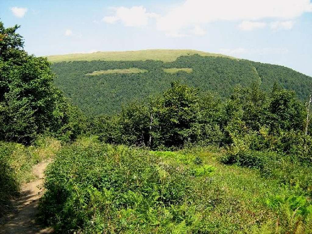 Mount Wielka Rawka (1304m)