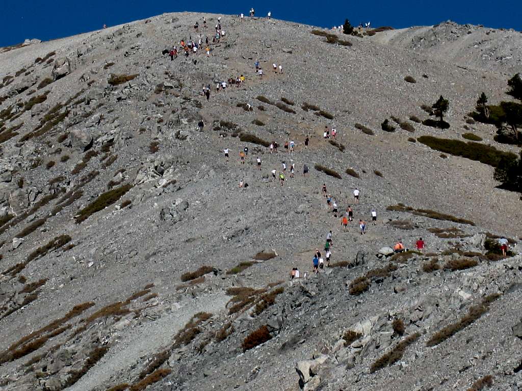 Racers Nearing Mt. Baldy Summit