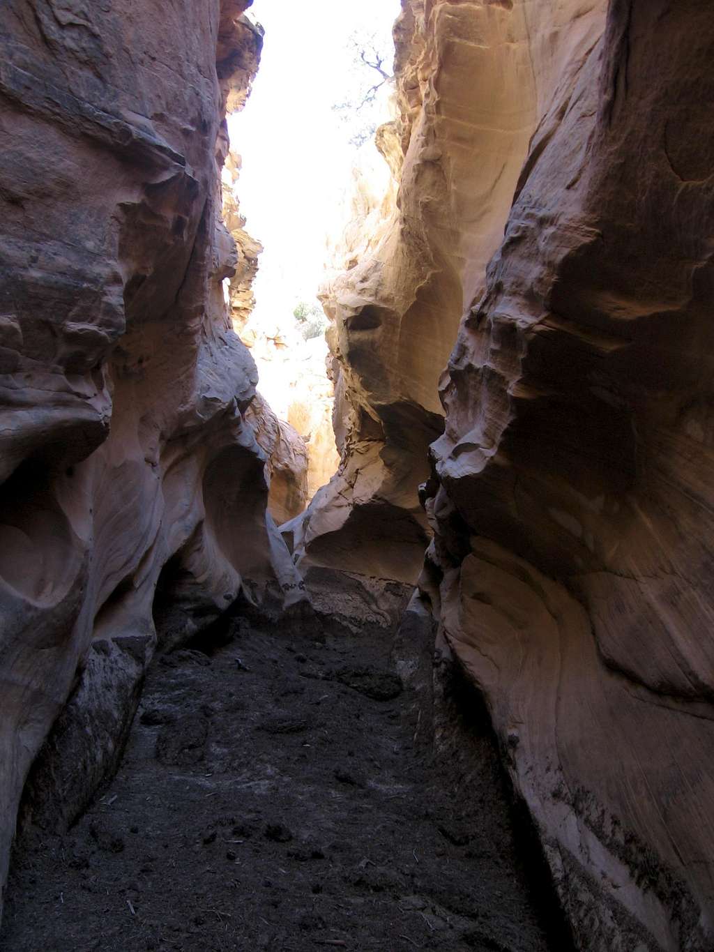 narrows in Devil's Canyon