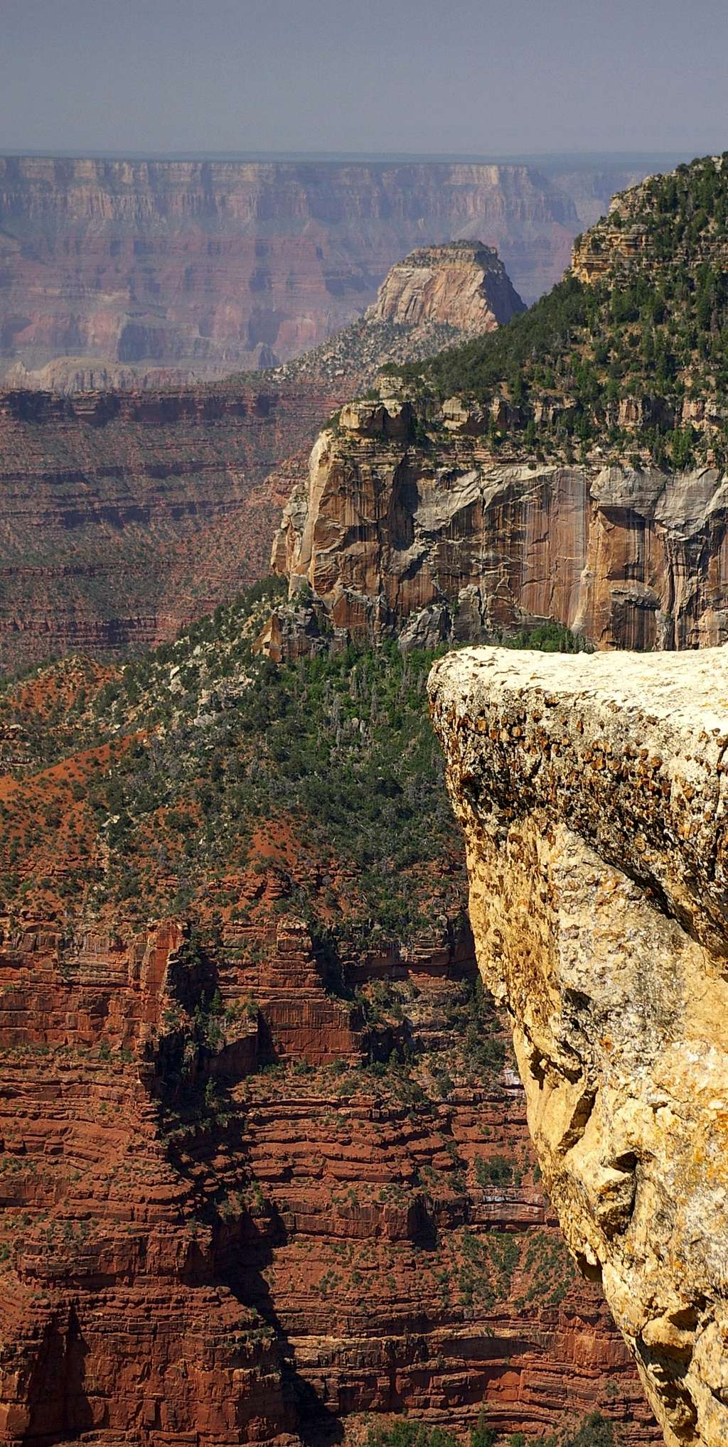 Cross Section of the Canyon