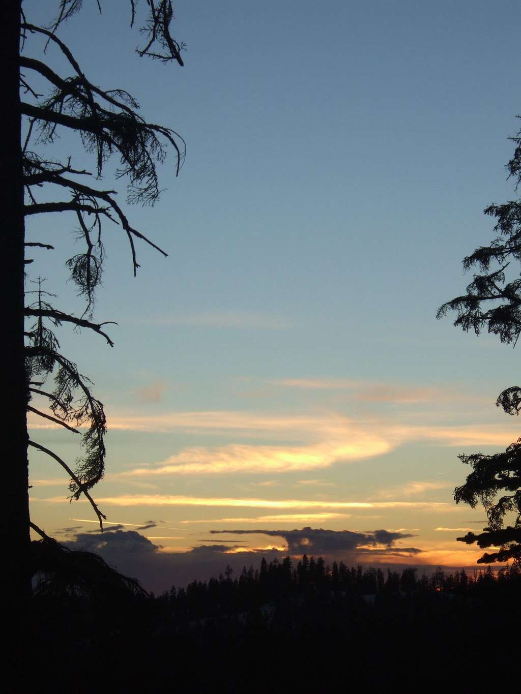 Sequoia, winter sunset