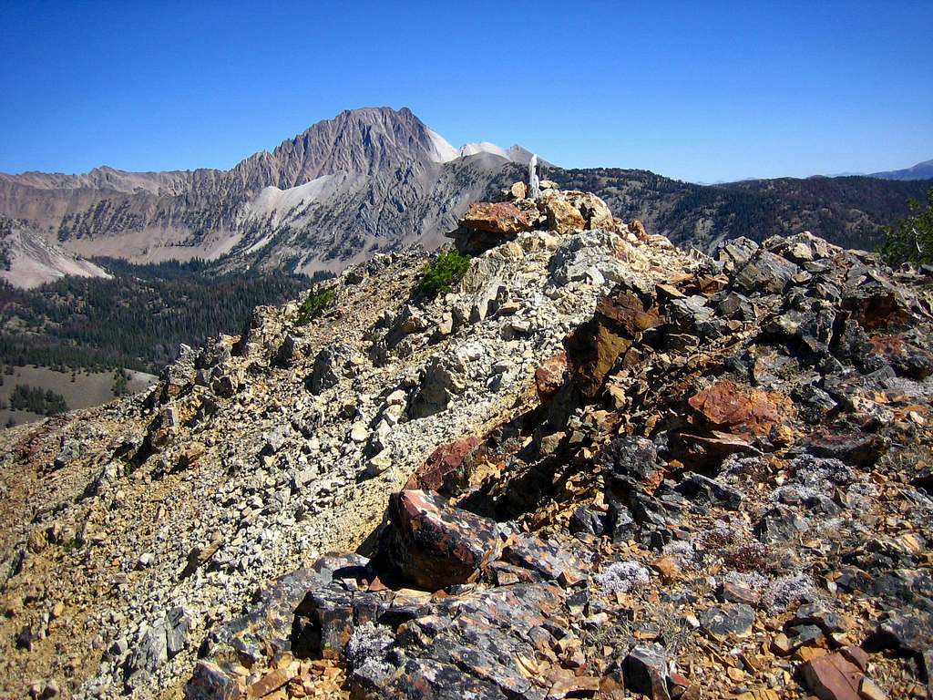 Castle Peak from Bible Back Mtn