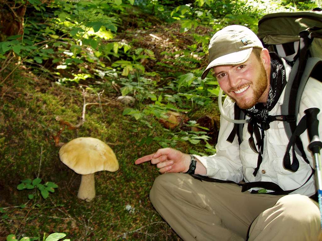Huge Mushroom