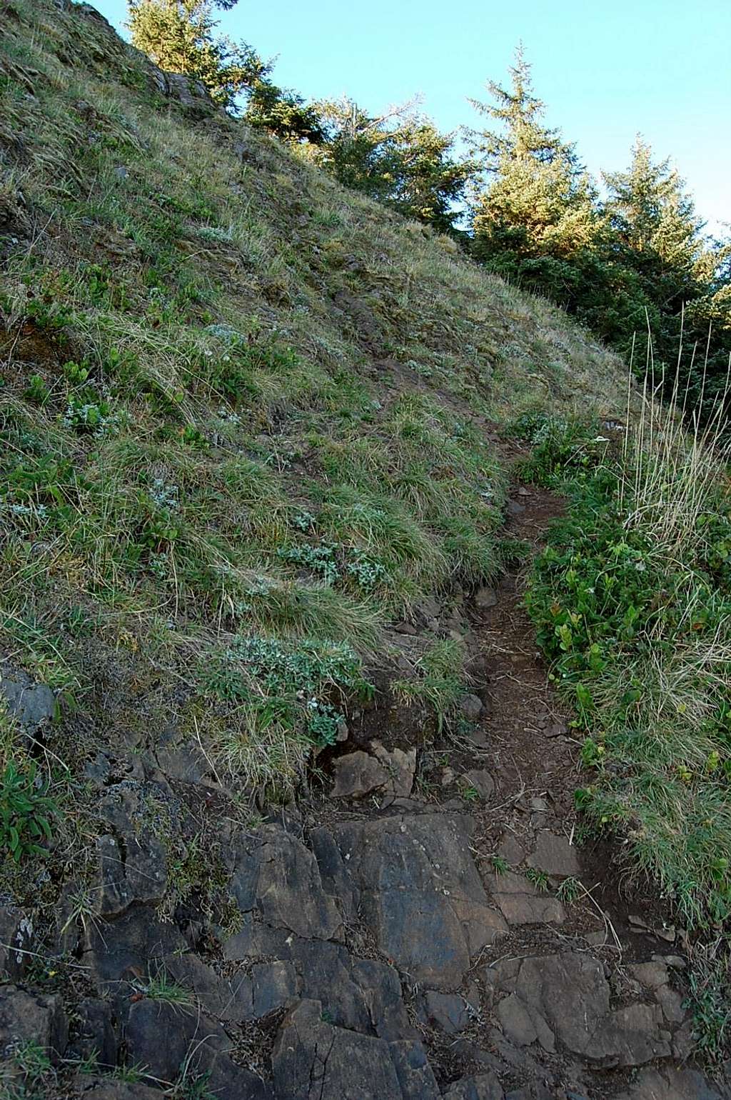 Here is the 2nd use trail that scrambles up the south side to the summit