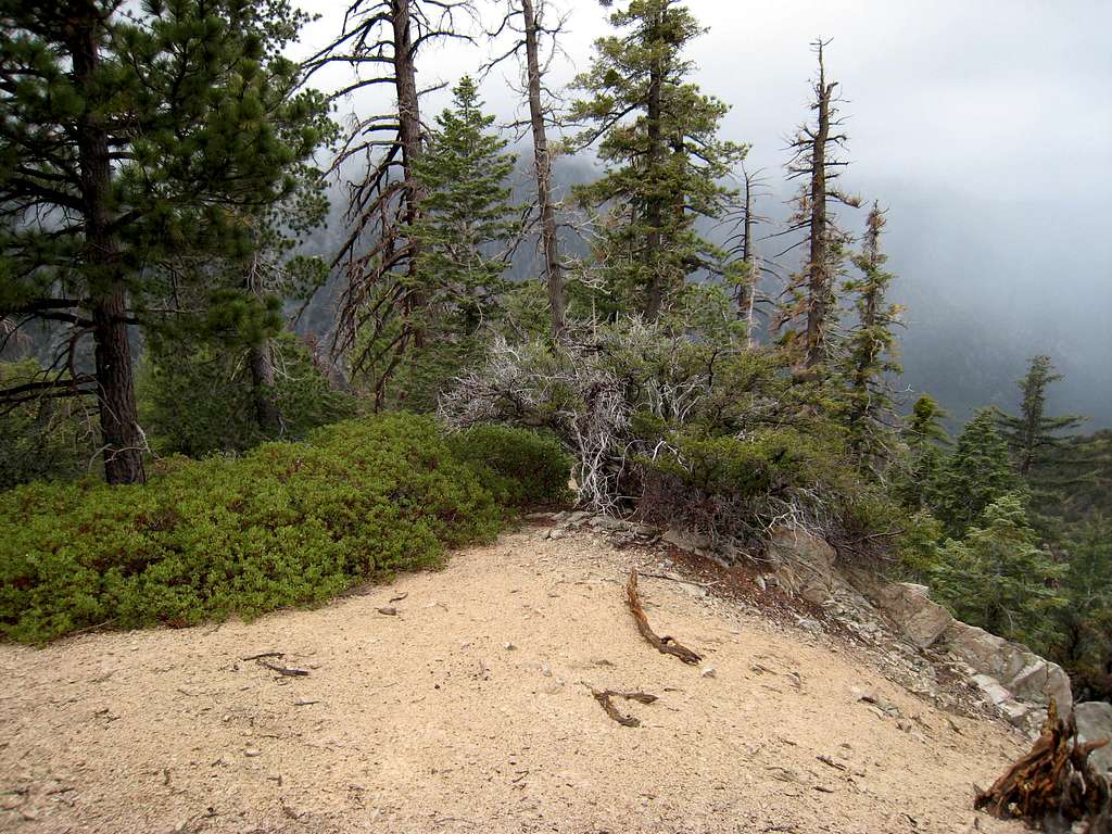 West Ridge of Dobbs Peak (10,459')