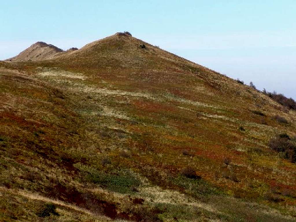 Carpet of autumn color on the northern slopes of Wetlinska Meadow.