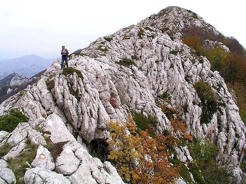 On the ridge of Crnopac...