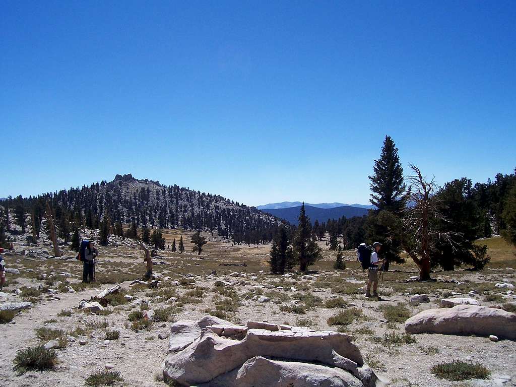 Cottonwood pass meets the PCT