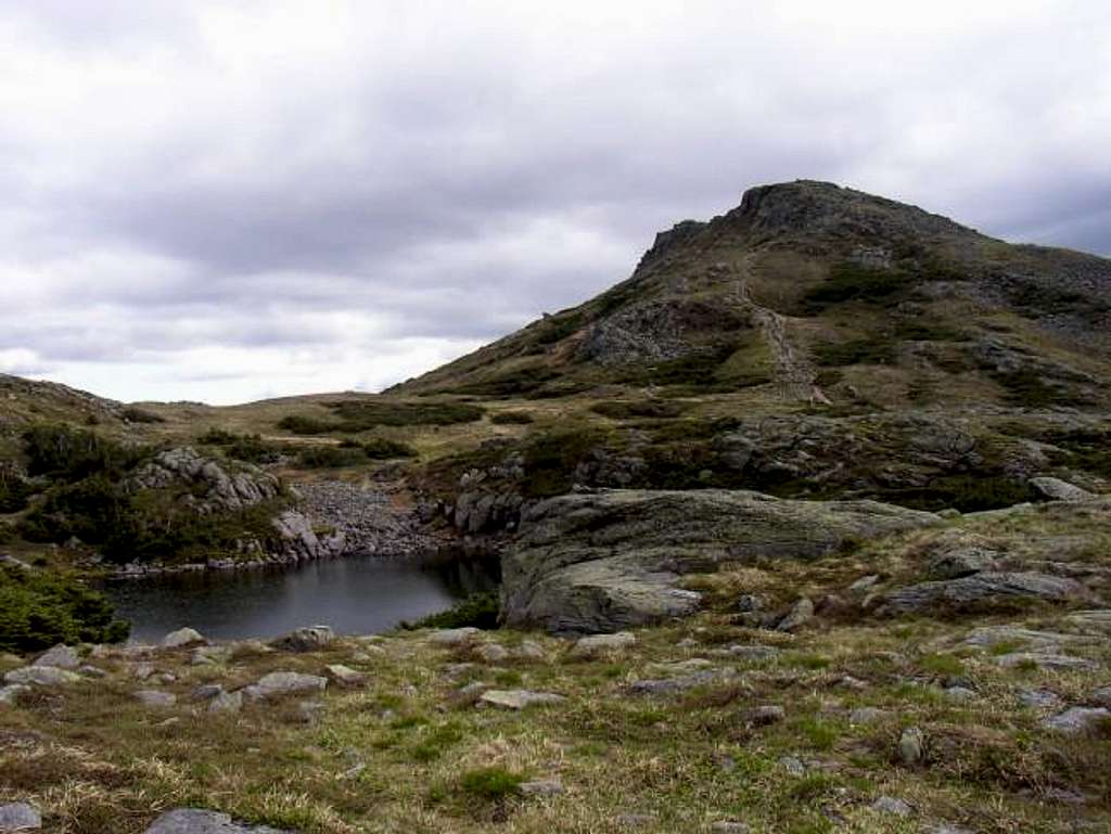 Summit cone of Mt Monroe...