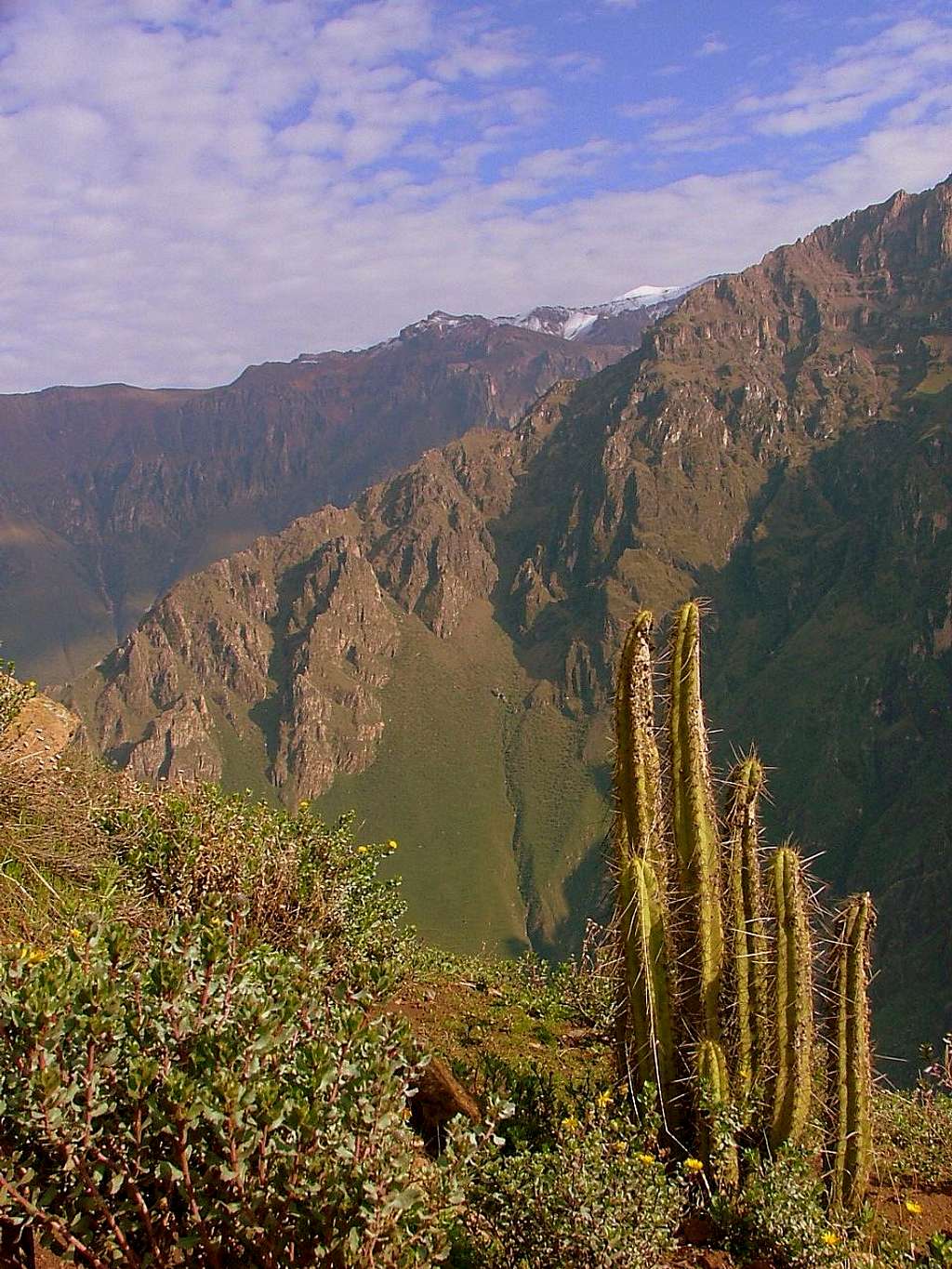 Cañon del Colca, Peru.