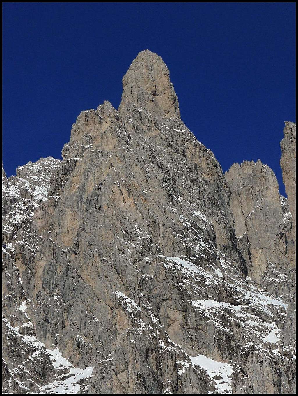 Torre Pellegrini