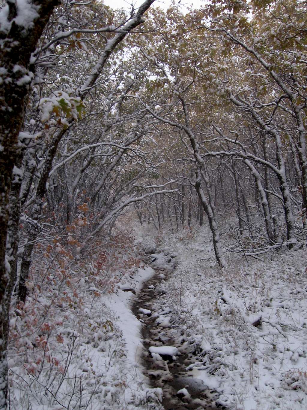 Fall/winter wonderland in Georges Hollow