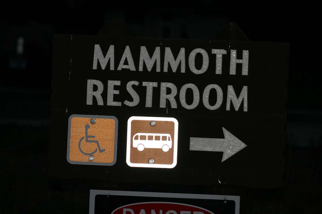 Mammoth Restroom