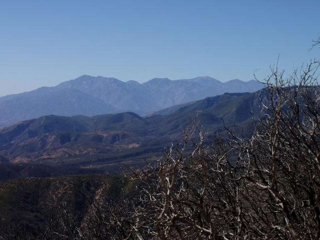 Cucamonga Peak & Mt. Baldy