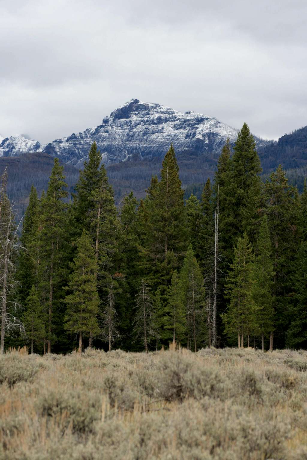 Southern Summit of Cutoff Mountain