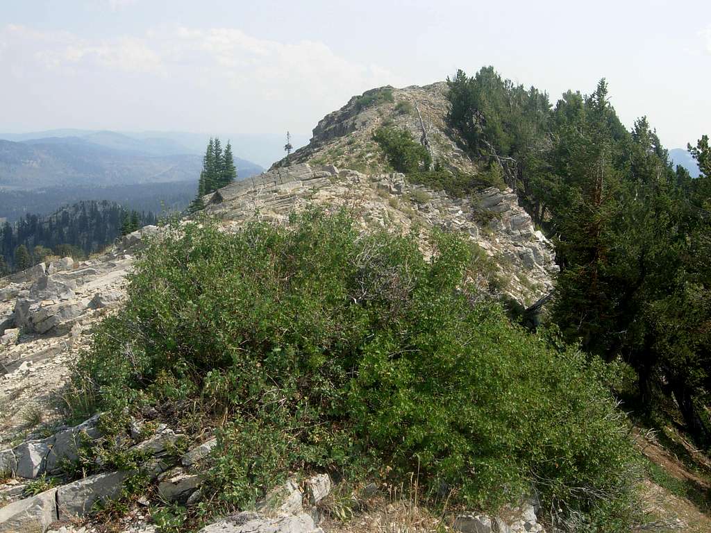 Wilderness Peak