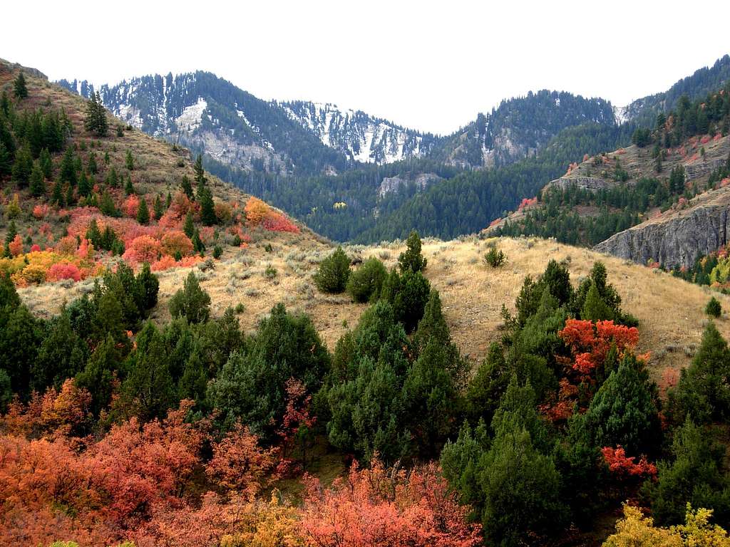 Logan Canyon