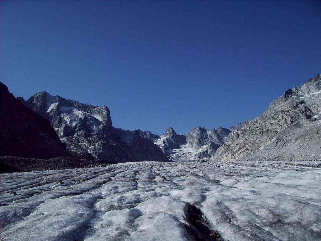 On the Forno Glacier