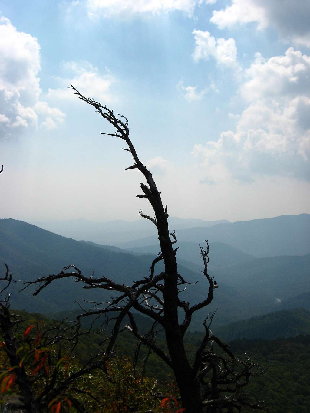 Looking South from Robertson Mountain