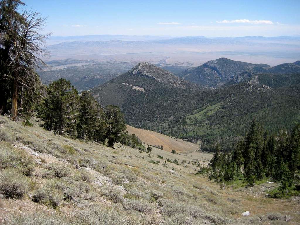 Meadows Route to Granite