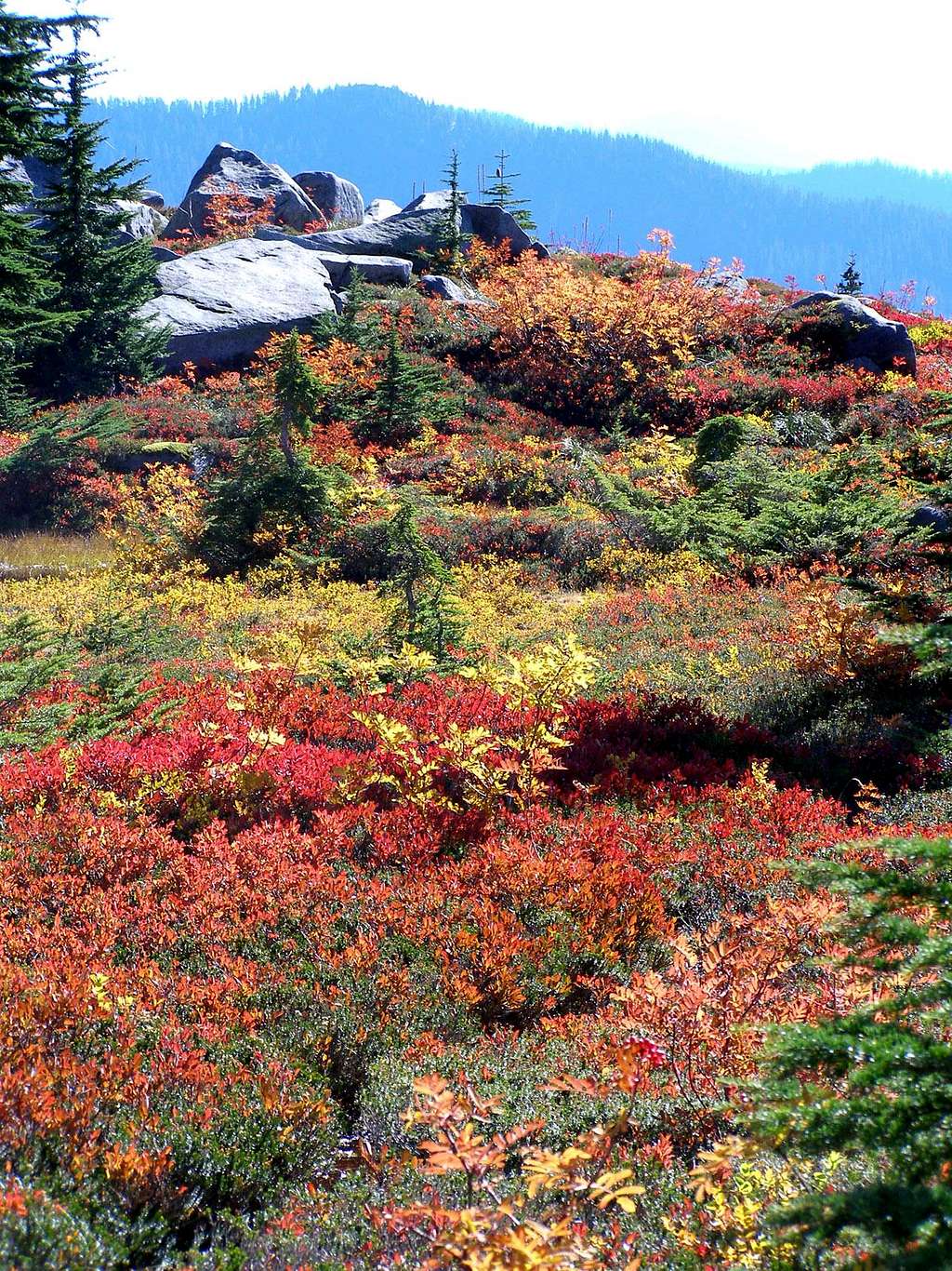 Cascade Fall  Colors
