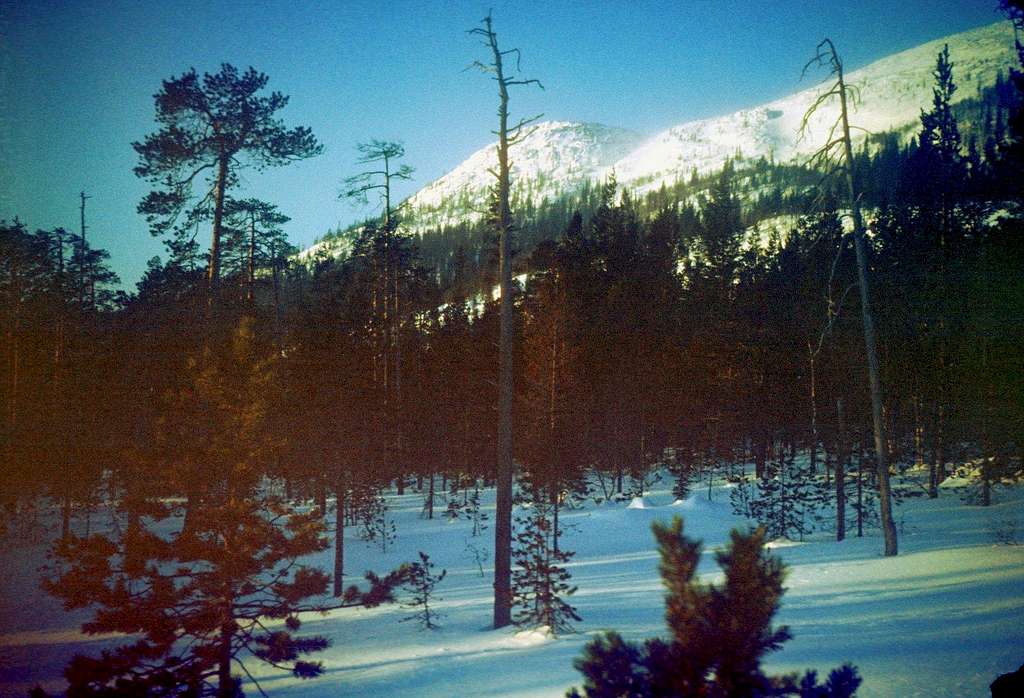 Luvenga-Tundra lit by mid-winter Sun