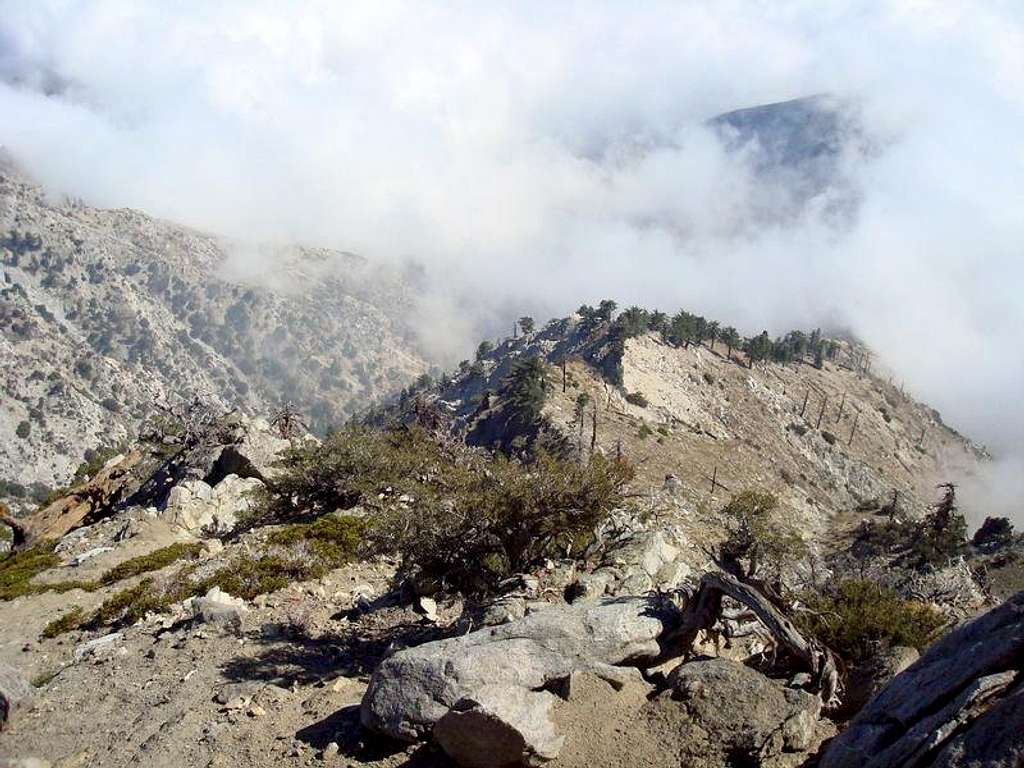 Cucamonga Peak