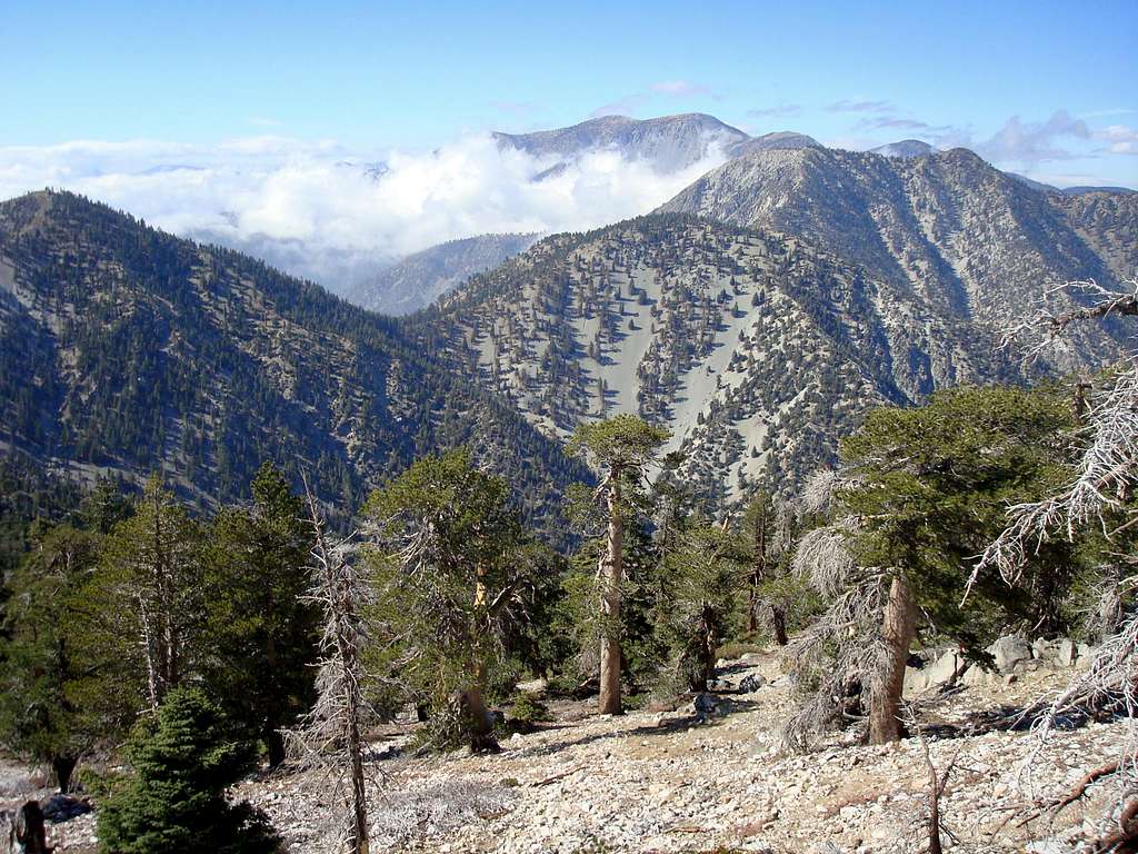 Icehouse Saddle and Mt. San Antonio